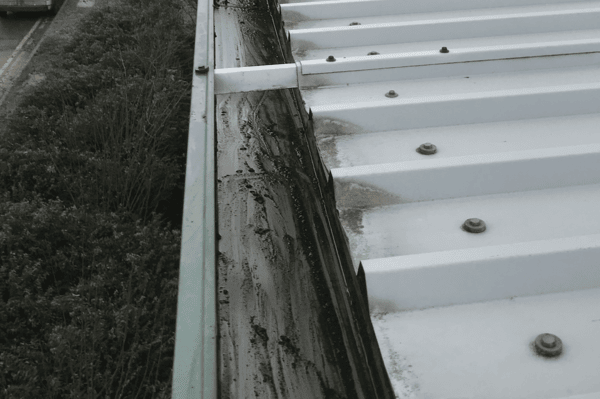 Commercial gutter cleaning specialists in Earley